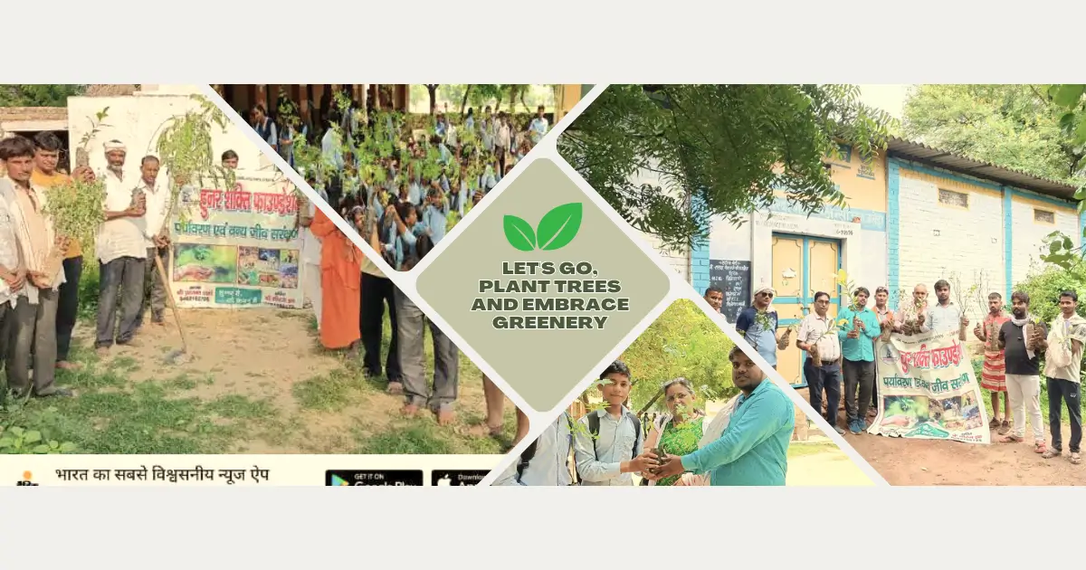 Let's go, plant Trees and embrace greenery